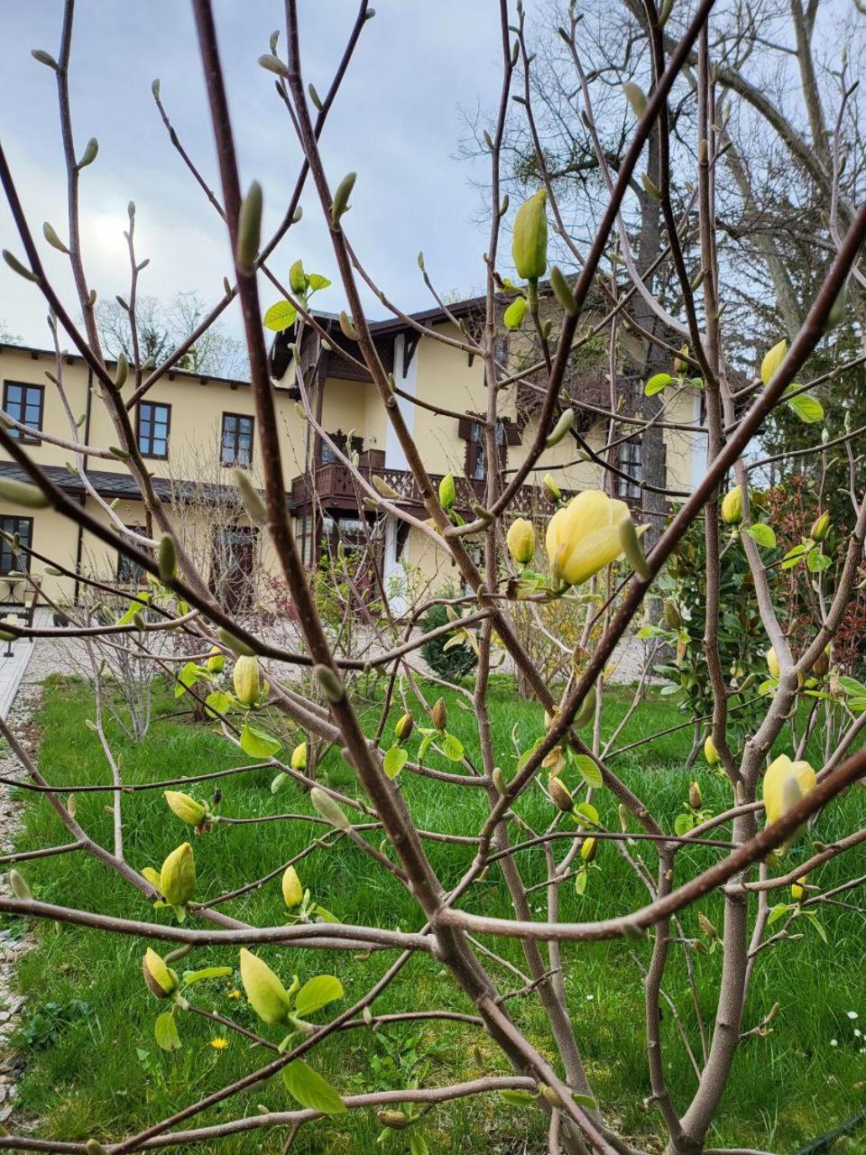 Villa Musik - Historical Apartments In Baden bei Wien Esterno foto